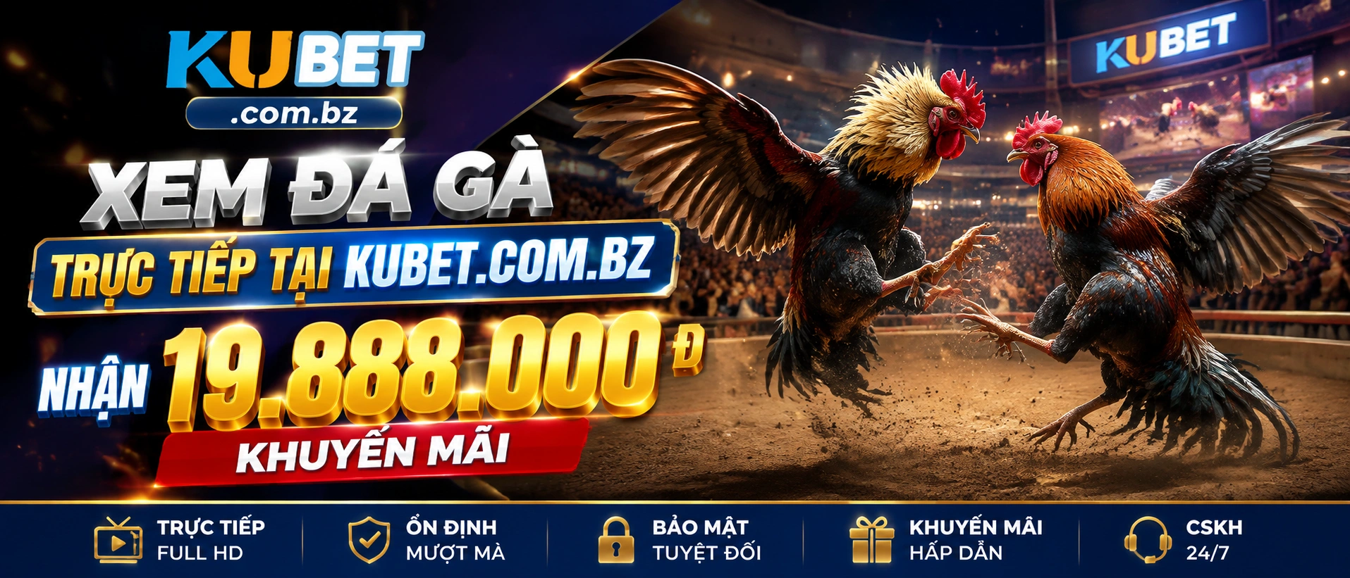 Đá Gà Thomo và phòng xem trực tiếp